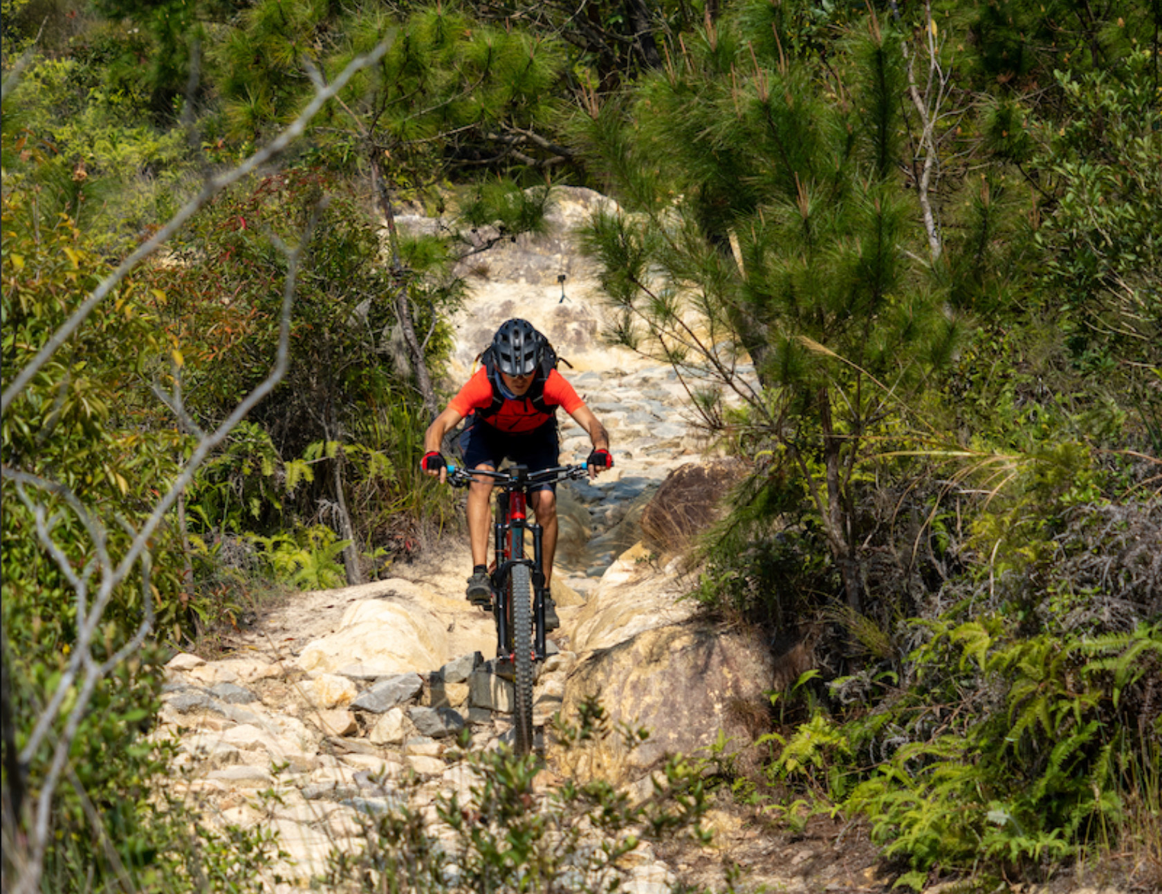 Tin Fu Tsai bike trail