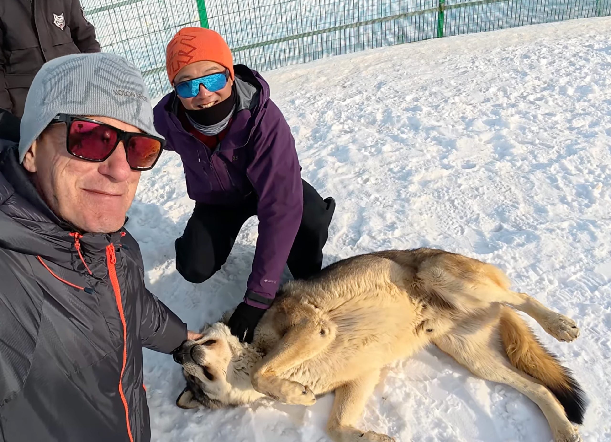 wolf mountain3
